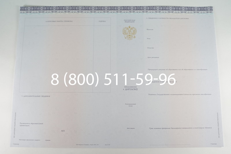 Диплом бакалавра (Киржач) 2014-2024 года в Ставрополе
