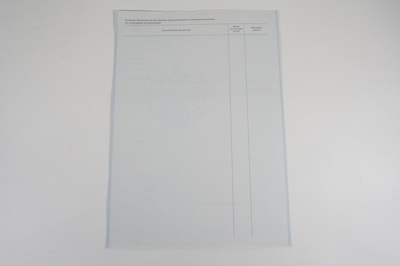 Диплом о начальном образовании 2007-2009 годов в Ставрополе Диплом о начальном образовании 2007-2009 годов в Ставрополе